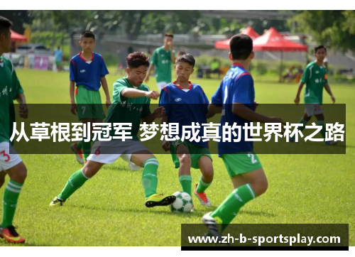 从草根到冠军 梦想成真的世界杯之路 从草根到冠军 梦想成真的世界杯之路