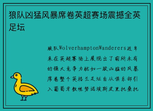 狼队凶猛风暴席卷英超赛场震撼全英足坛